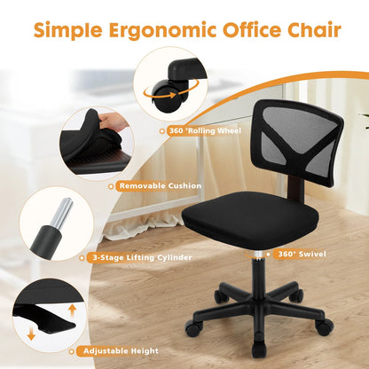 Ergo-Compact - Armless Mesh Office Chair with Lumbar Support